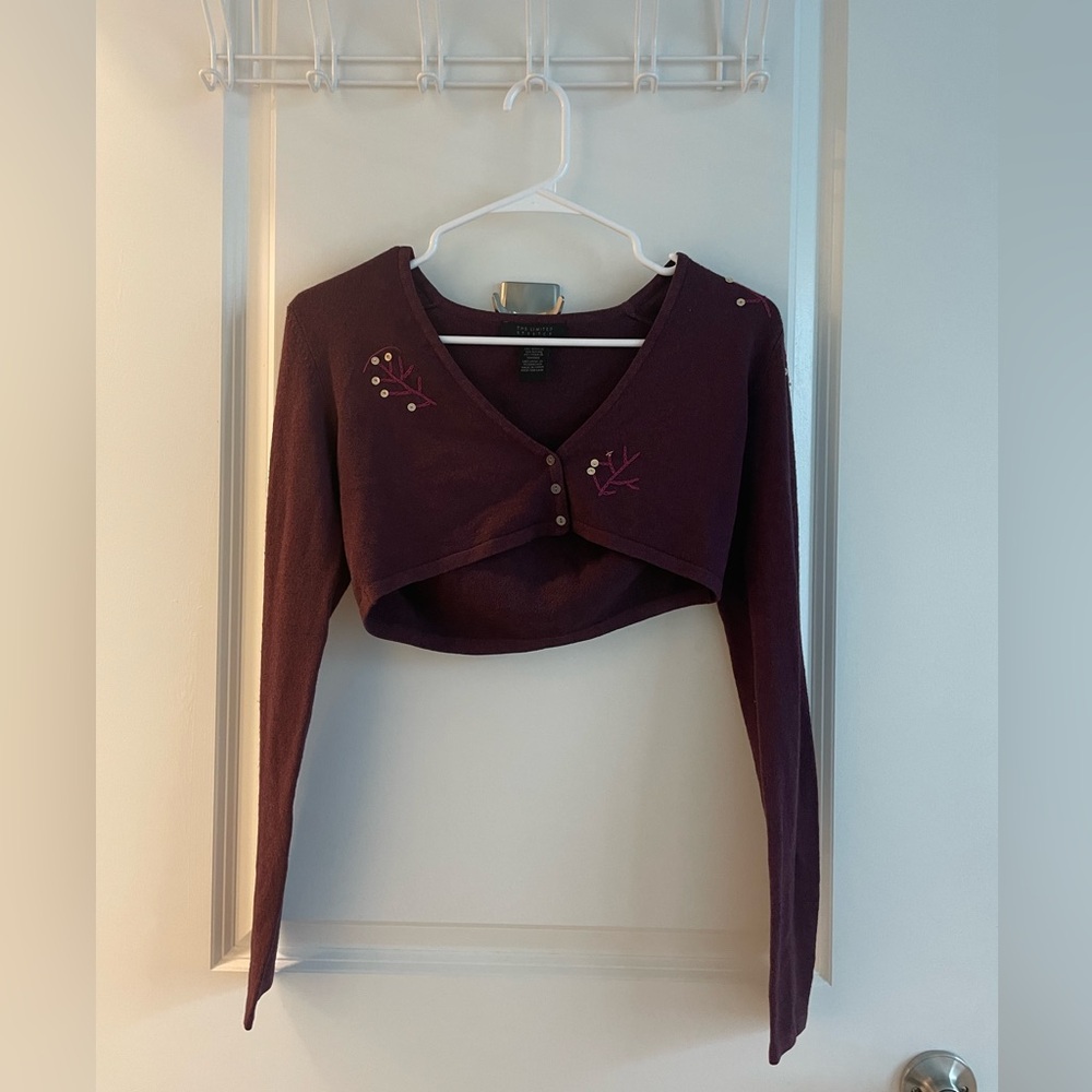 The Limited Long Sleeve Embroidered Crop Top | Maroon